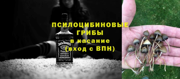 ПСИЛОЦИБИНОВЫЕ ГРИБЫ Магадан