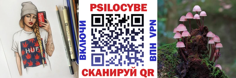 Псилоцибиновые грибы GOLDEN TEACHER  Купить закладки  Ладушкин 